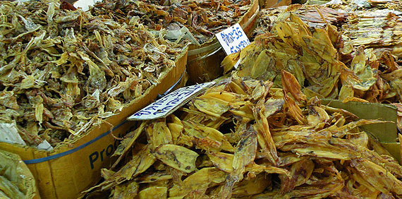 Pescado seco en un mercado de Chiang Mai Pescado seco en un mercado de Chiang Mai