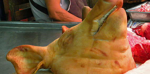 Cabeza de cerdo en un mercado de Chiang Mai Cabeza de cerdo en un mercado de Chiang Mai
