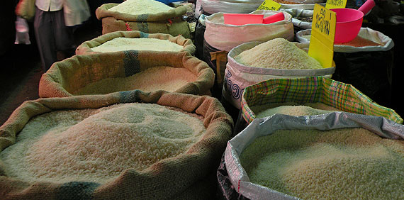 Variedades de arroz en un mercado de Chiang Mai.  Night Bazar