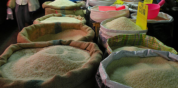 Variedades de arroz en un mercado de Chiang Mai Variedades de arroz en un mercado de Chiang Mai. Night Bazar