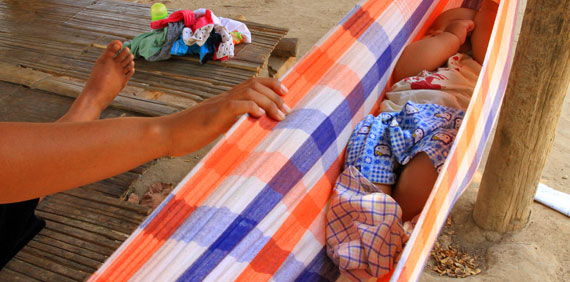 Niño lisu Niño lisu